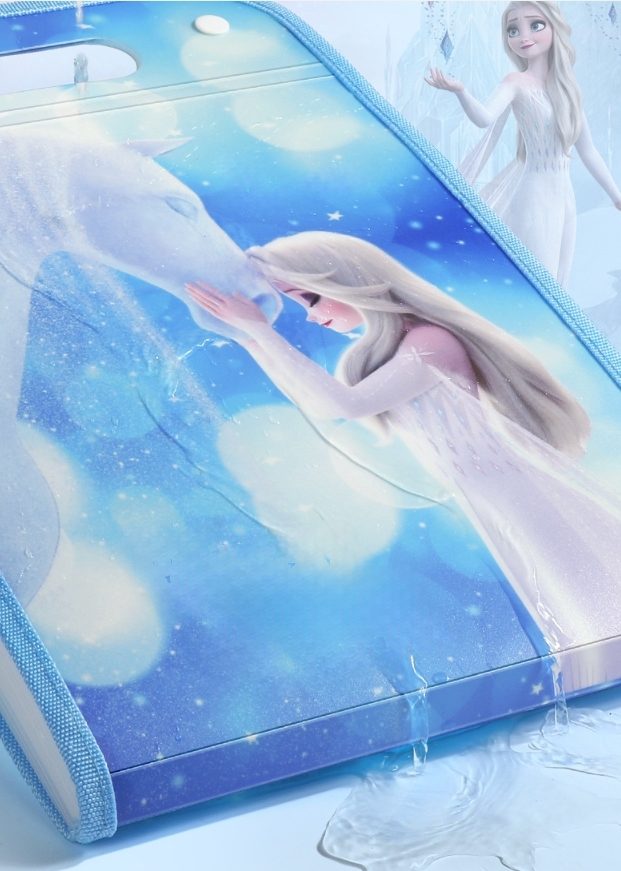 A4 Expanding File Organiser, 13 Compartment Large Capacity Document Folder, Accordion Document Organizer with Colourful Label Tabs, Handle, Office School (Frozen, A4)