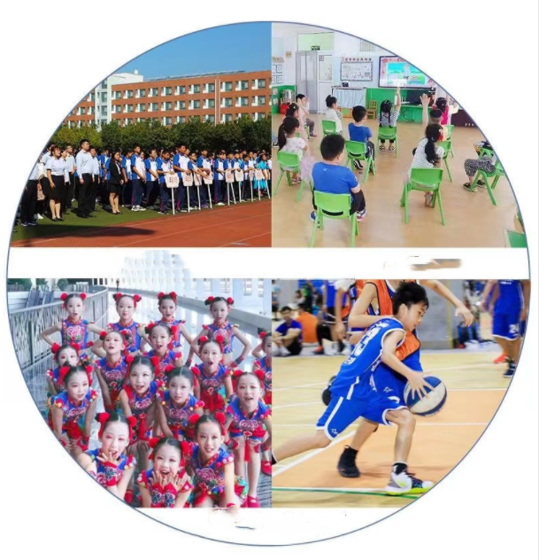 6 Pairs School Uniform Boys Girls Childrens Kids rich cotton plain sports ankle Socks Infant