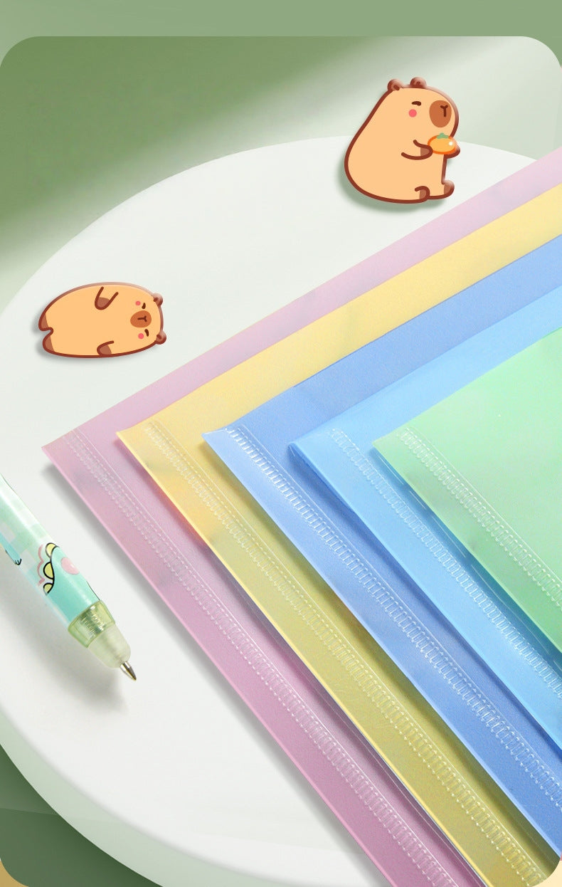 5PCS Plastic Wallets A4, 5 different designs Plastic Folders Popper Folder with Snap Closure, Lightweight Wallets for Document Office School Organization for Kids Adults