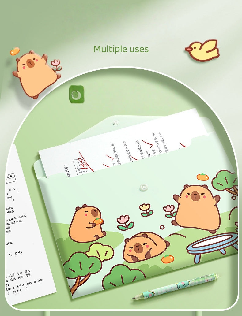 5PCS Plastic Wallets A4, 5 different designs Plastic Folders Popper Folder with Snap Closure, Lightweight Wallets for Document Office School Organization for Kids Adults