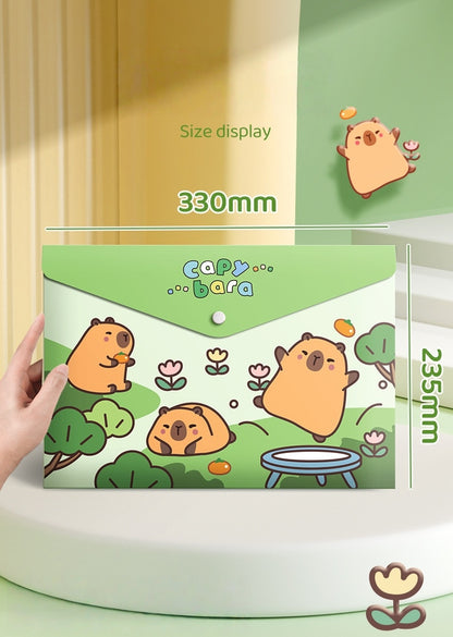 5PCS Plastic Wallets A4, 5 different designs Plastic Folders Popper Folder with Snap Closure, Lightweight Wallets for Document Office School Organization for Kids Adults